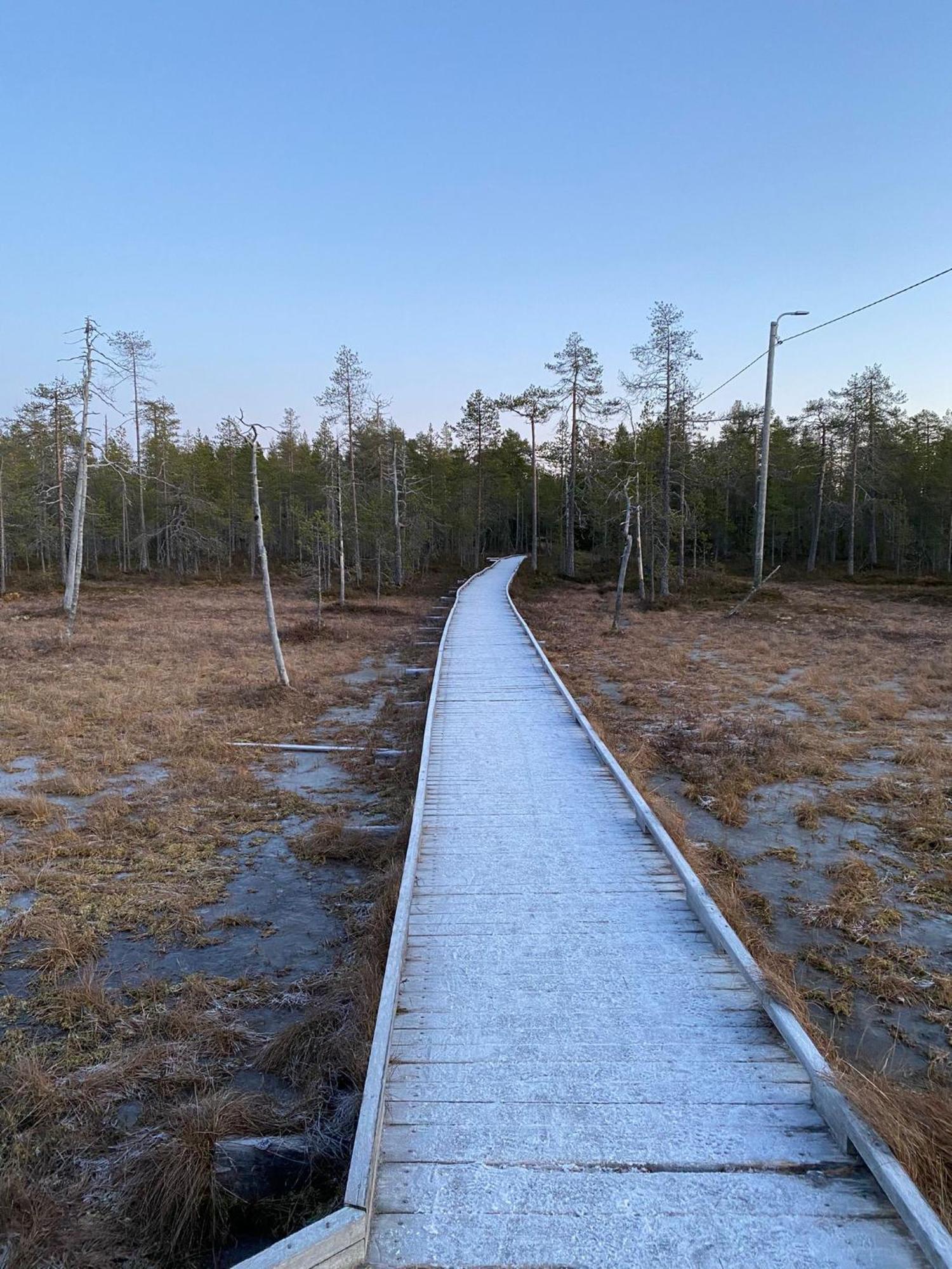 Sporthome Rovaniemi Bagian luar foto